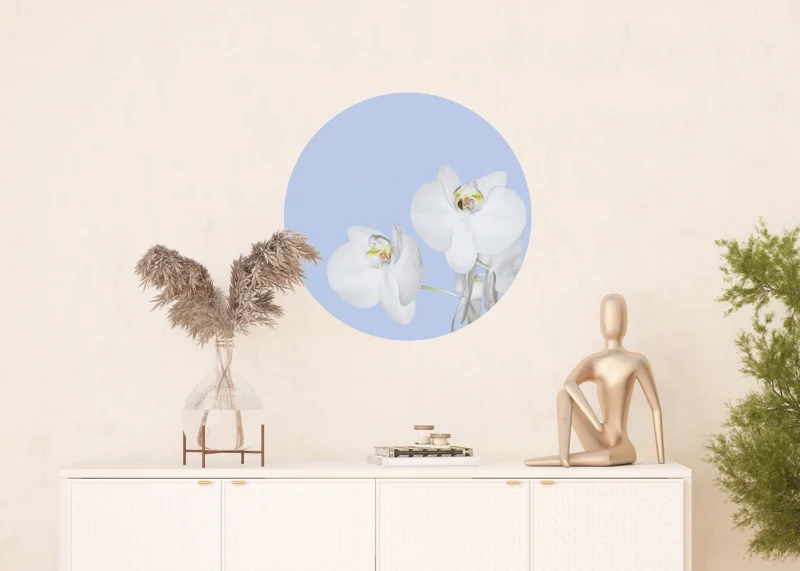 Wall Mural Orchid on Blue, 70 x 70 cm, CR 3200 - Image 3