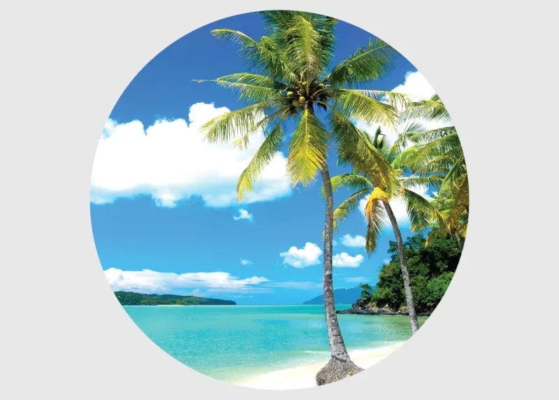 Wall Mural Palms on Beach, 70 x 70 cm, CR 3205 - Image 2
