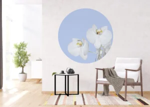 Wall Mural Orchid on Blue, 140 x 140 cm, CR 3300 - Image 3