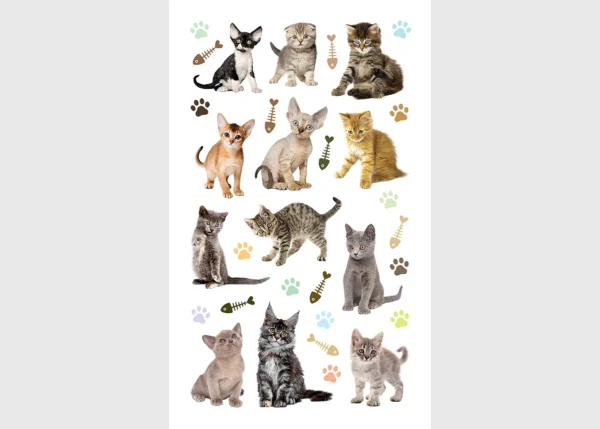 Stickers Kittens, 7.5 x 12.3 cm, DKL 350018