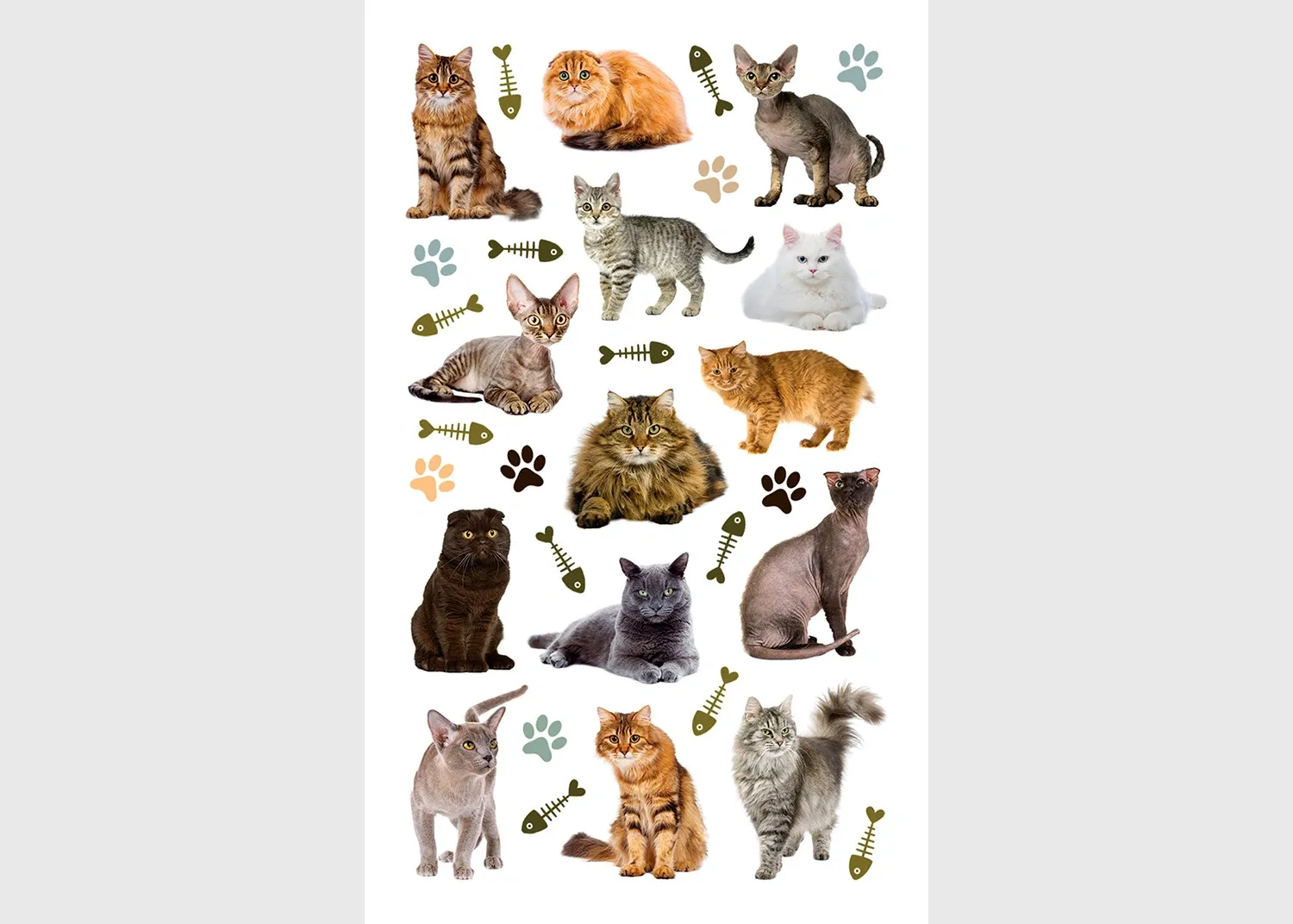DKL_350019 Stickers Cats, 7.5 x 12.3 cm, DKL 350019