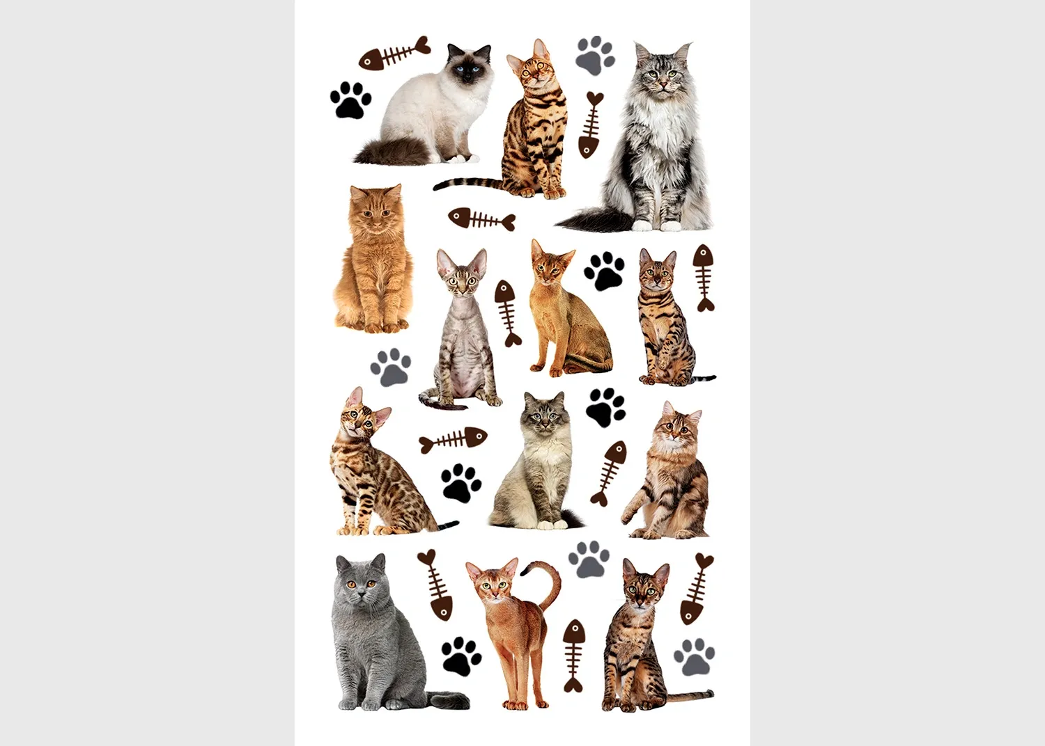 DKL_350020 Stickers Cats, 7.5 x 12.3 cm, DKL 350020