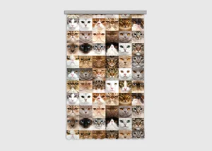 Curtain Cats, 140 x 245 cm, FCSL 7567 - Image 2