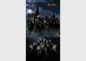 Wall Mural Harry Potter, 150 x 270 cm, FTD2P 5621 - Image 2