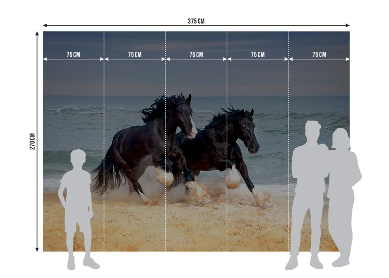Wall Mural Horses, 375 x 270 cm, FTNS 1260 - Image 7