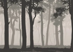 Wall Mural Mystic Forest, 375 x 270 cm, FTNS 1266 - Image 2