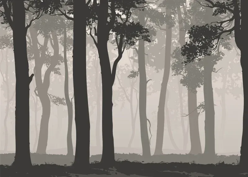 Wall Mural Mystic Forest, 375 x 270 cm, FTNS 1266 - Image 2