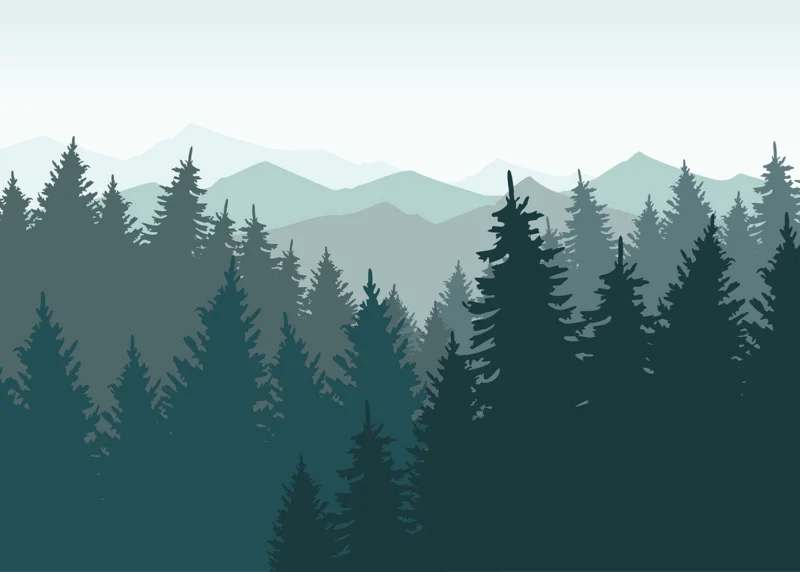 Wall Mural Deep in the Forest, 375 x 270 cm, FTNS 1276 - Image 2