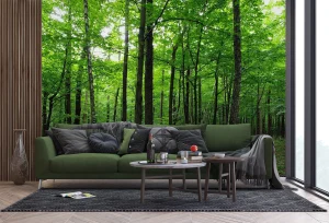 Wall Mural Green Forest, 375 x 270 cm, FTNS 2446 - Image 5