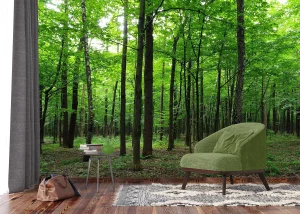 Wall Mural Green Forest, 375 x 270 cm, FTNS 2446 - Image 4