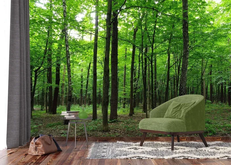 Wall Mural Green Forest, 375 x 270 cm, FTNS 2446 - Image 4