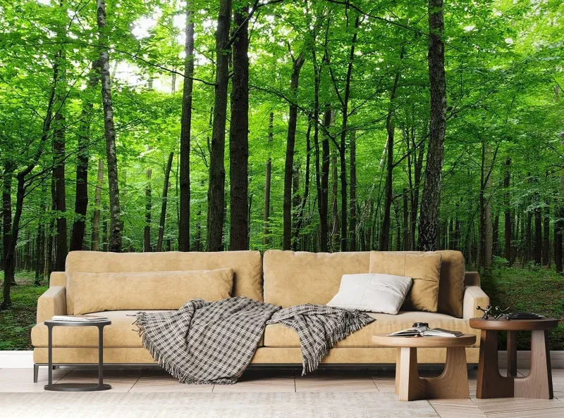 Wall Mural Green Forest, 375 x 270 cm, FTNS 2446 - Image 3