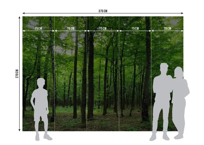 Wall Mural Green Forest, 375 x 270 cm, FTNS 2446 - Image 7