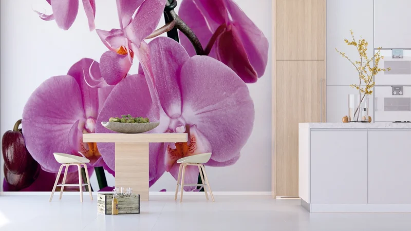 Wall Mural Violet Orchid, 375 x 270 cm, FTNS 2459 - Image 4