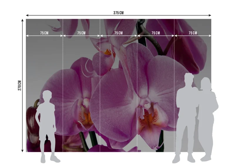Wall Mural Violet Orchid, 375 x 270 cm, FTNS 2459 - Image 6