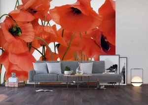 Wall Mural Wild Poppies, 375 x 270 cm, FTNS 2461 - Image 4