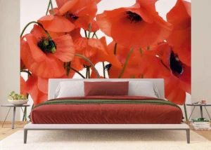 Wall Mural Wild Poppies, 375 x 270 cm, FTNS 2461 - Image 3
