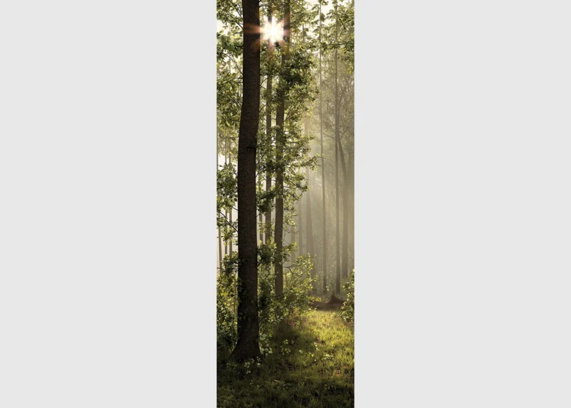 Wall Mural Morning Forest, 90 x 270 cm, FTNVL 3712 - Image 2