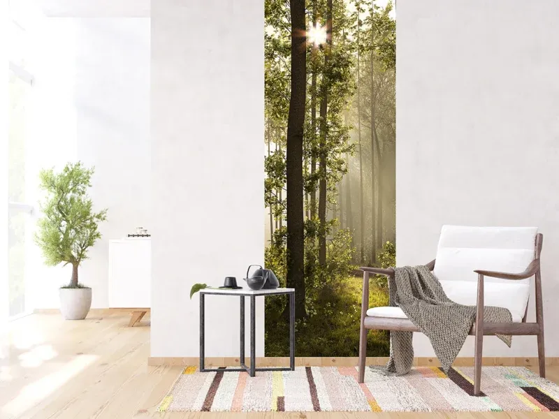 Wall Mural Morning Forest, 90 x 270 cm, FTNVL 3712 - Image 3
