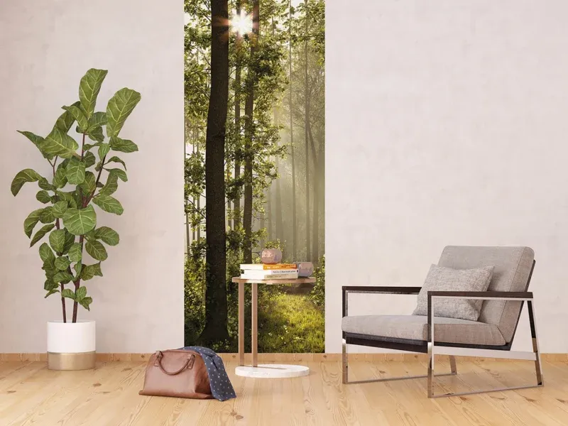 Wall Mural Morning Forest, 90 x 270 cm, FTNVL 3712 - Image 5