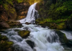 Wall Mural Nature Rush, 375 x 270 cm, FTNXXL 3006 - Image 2