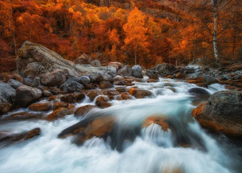 Wall Mural Autumn Rush, 375 x 270 cm, FTNXXL 3012 - Image 2