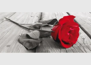 Wall Mural Red Rose, 202 x 90 cm, FTNH 2717 - Image 2