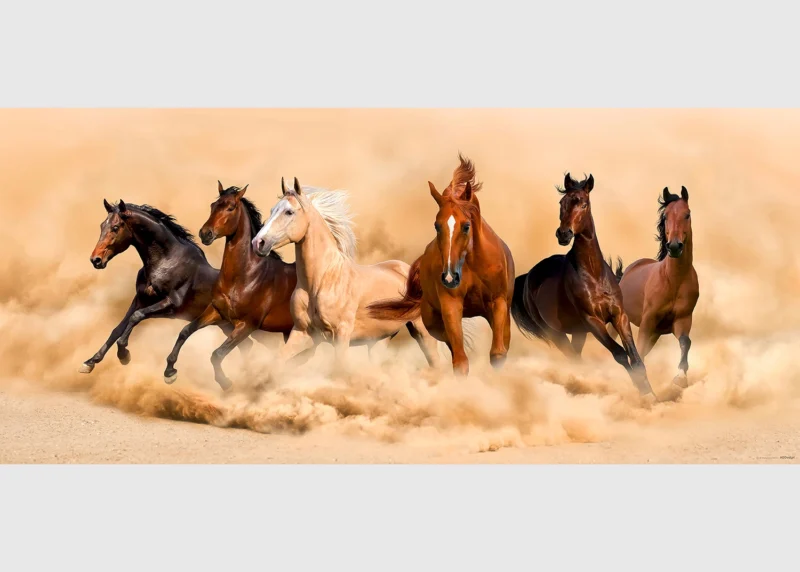 Wall Mural Horses, 202 x 90 cm, FTNH 2748 - Image 2