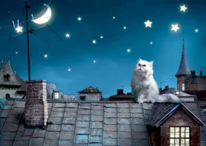 Wall Mural Cat on Roof, 160 x 110 cm, FTNM 2606 - Image 2