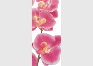 Wall Mural Pink Orchid, 90 x 202 cm, FTNV 2826 - Image 2