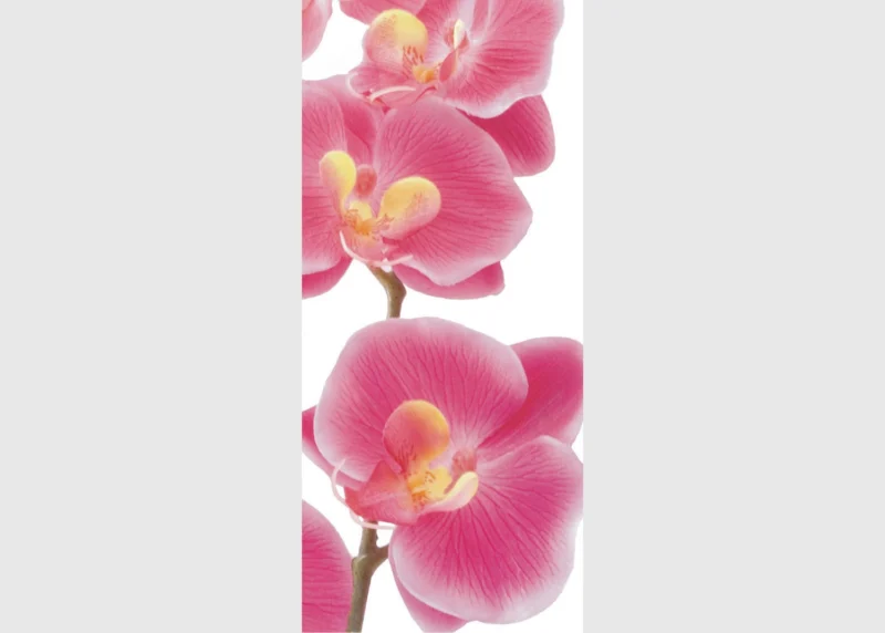 Wall Mural Pink Orchid, 90 x 202 cm, FTNV 2826 - Image 2