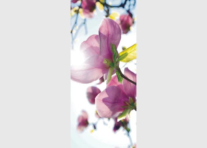 Wall Mural Flowers in the Sun, 90 x 202 cm, FTNV 2873 - Image 2