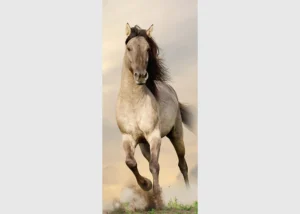 Wall Mural Galloping Horse, 90 x 202 cm, FTNV 2928 - Image 2