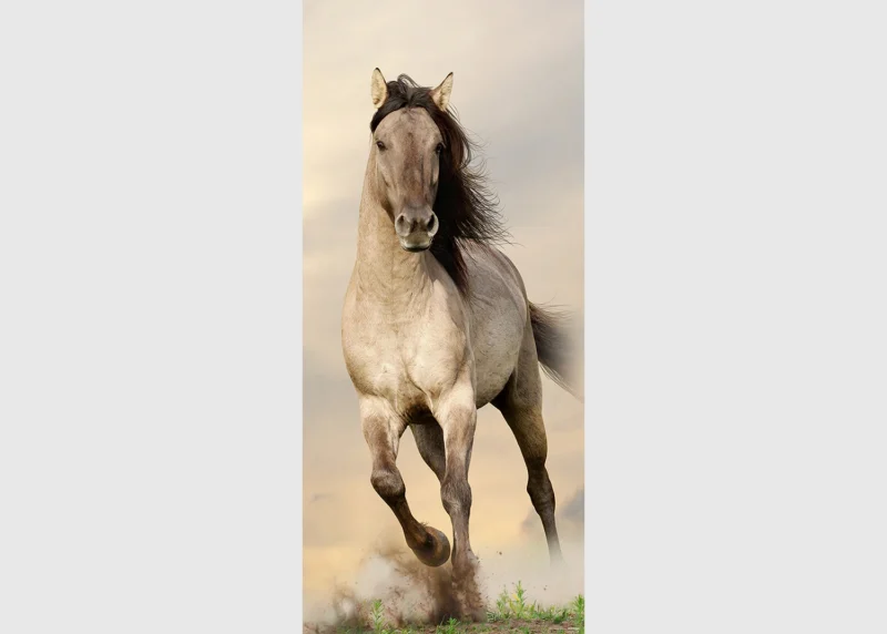 Wall Mural Galloping Horse, 90 x 202 cm, FTNV 2928 - Image 2