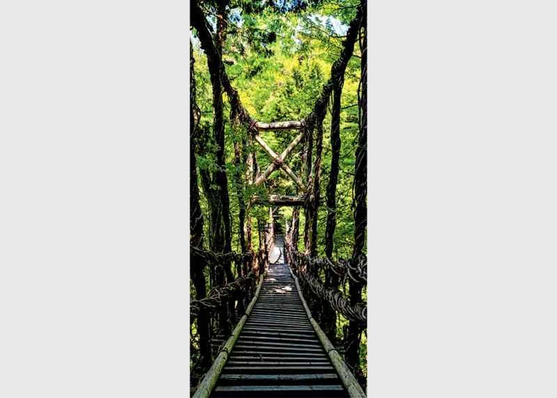 Wall Mural Jungle Bridge, 90 x 202 cm, FTNV 2937 - Image 2