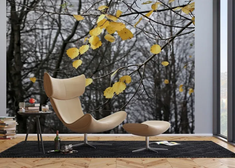 Wall Mural Autumn Vibes, 375 x 270 cm, FTNXXL 0317 - Image 3