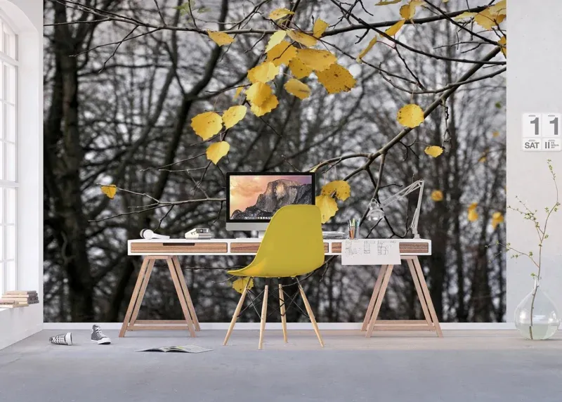Wall Mural Autumn Vibes, 375 x 270 cm, FTNXXL 0317 - Image 5