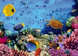 Wall Mural Underwater, 375 x 270 cm, FTNXXL 0375 - Image 2