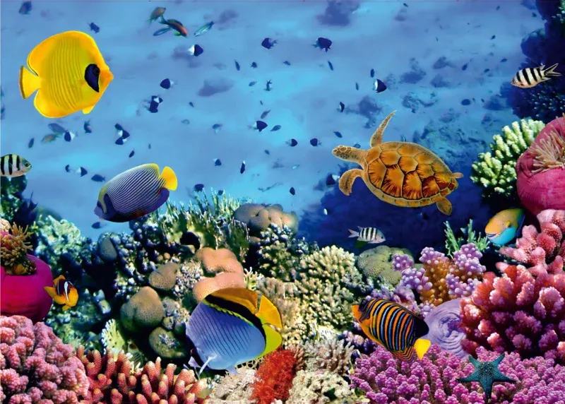 Wall Mural Underwater, 375 x 270 cm, FTNXXL 0375 - Image 2