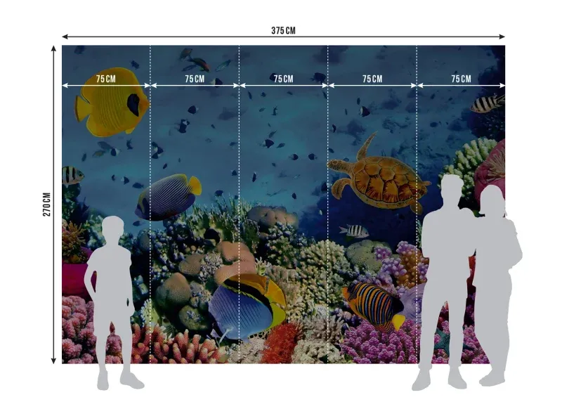 Wall Mural Underwater, 375 x 270 cm, FTNXXL 0375 - Image 5
