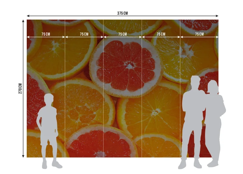 Wall Mural Oranges, 375 x 270 cm, FTNXXL 0413 - Image 7