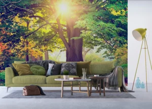 Wall Mural Morning Forest, 375 x 270 cm, FTNXXL 2424 - Image 3