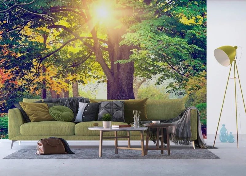 Wall Mural Morning Forest, 375 x 270 cm, FTNXXL 2424 - Image 3
