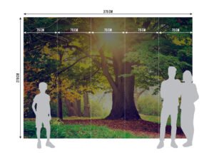 Wall Mural Morning Forest, 375 x 270 cm, FTNXXL 2424 - Image 5