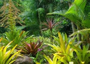 Wall Mural Jungle, 375 x 270 cm, FTNXXL 2490 - Image 2