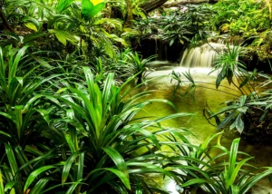 Wall Mural Jungle Waterfall Lagoon, 375 x 270 cm, FTNXXL 2491 - Image 2