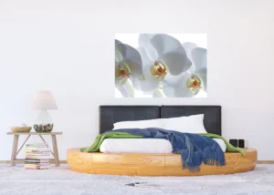 Wall Mural White Orchid, 180 x 127 cm, FTSs 0832 - Image 3