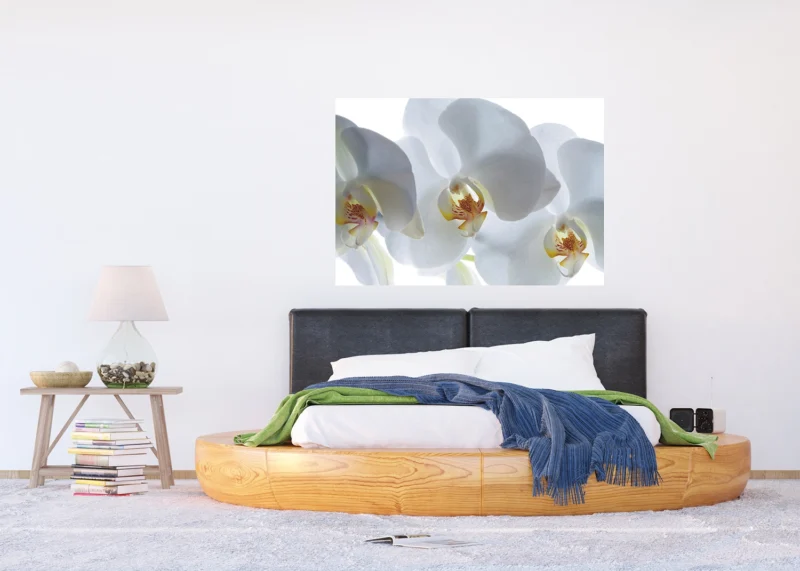 Wall Mural White Orchid, 180 x 127 cm, FTSs 0832 - Image 3