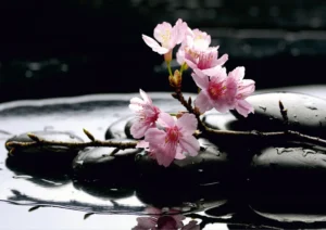 Wall Mural Floating Sakura, 360 x 254 cm, FTS 0185 - Image 2
