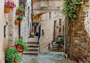 Wall Mural Garden, 360 x 254 cm, FTS 1333 - Image 2